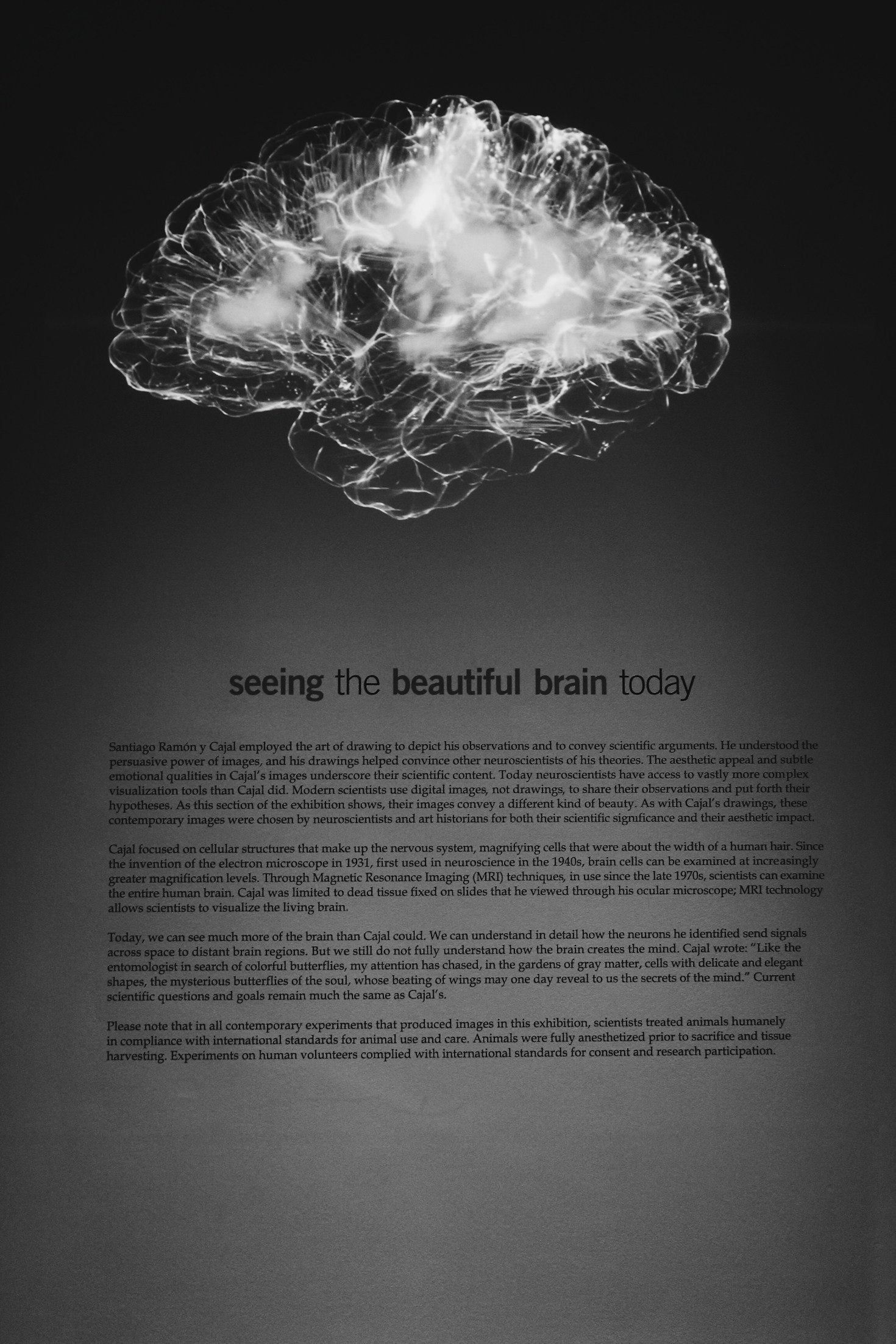 Neurociência aplicada ao dia a dia